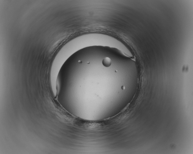 X0000110680501200907021914