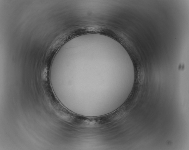 X0000110680502200907021914