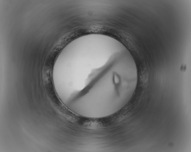 X0000110680503200907021914