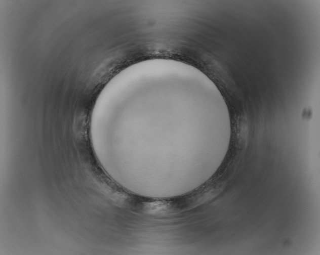 X0000110680511200907021913