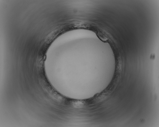 X0000110680513200907021913