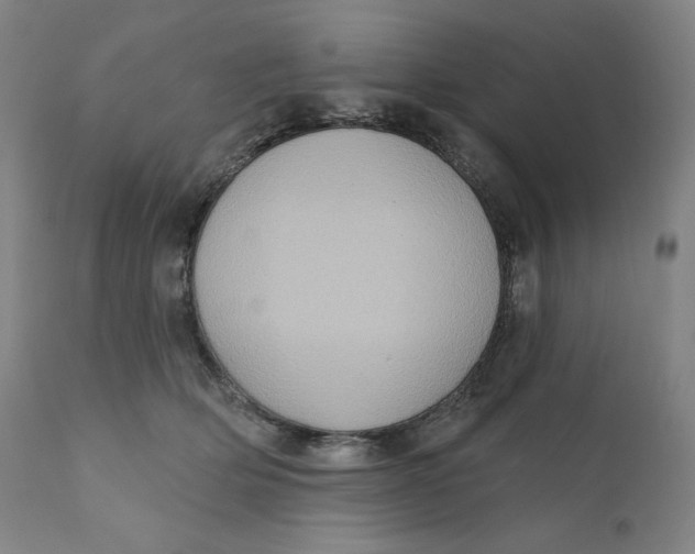 X0000110680514200907021913