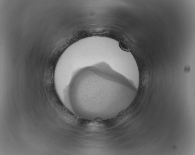 X0000110680515200907021913