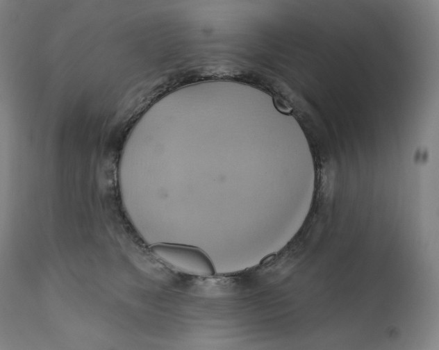 X0000110680517200907021913
