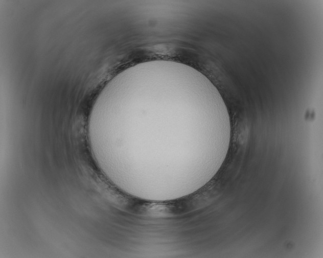 X0000110680518200907021913