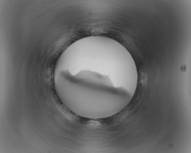 X0000110680519200907021913