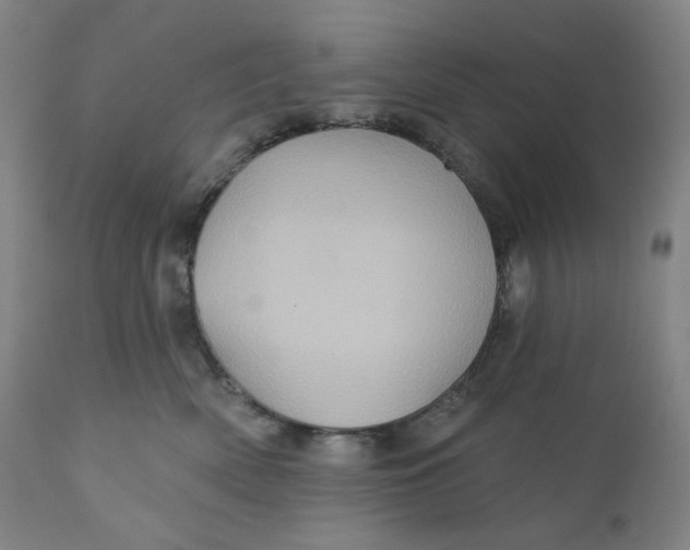 X0000110680522200907021913