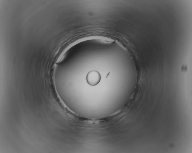 X0000110680524200907021913