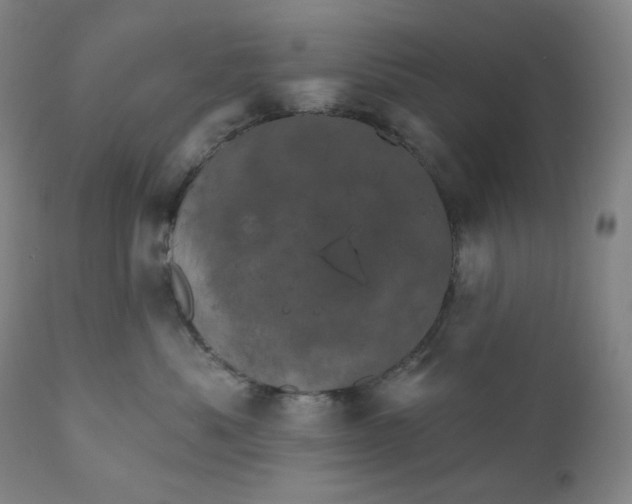 X0000110680525200907021913