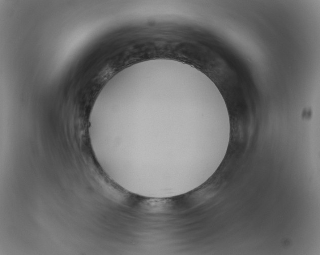 X0000110680526200907021913