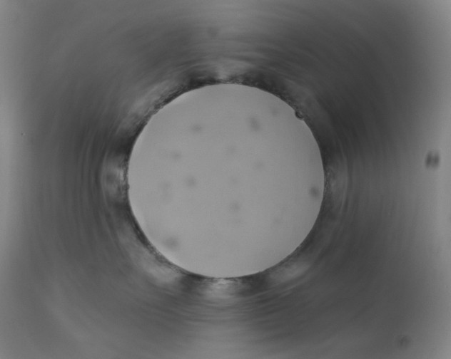 X0000110680527200907021913