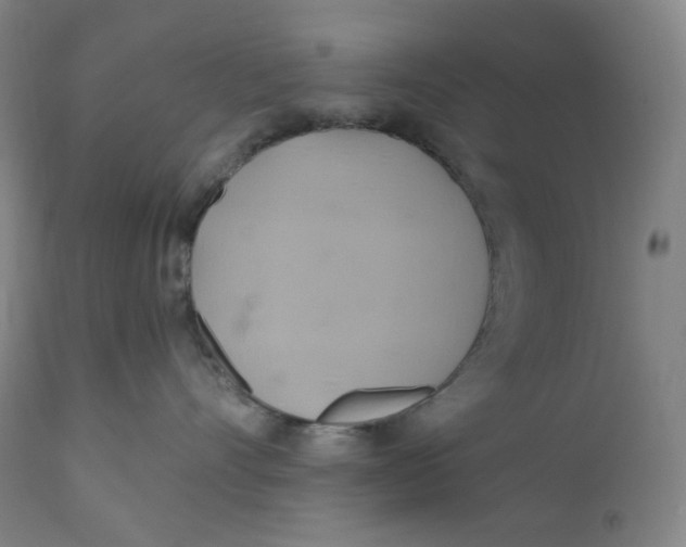 X0000110680528200907021913