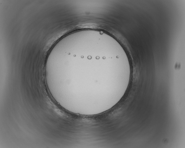 X0000110680529200907021913