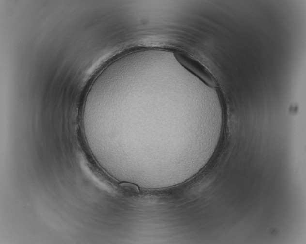 X0000110680530200907021913