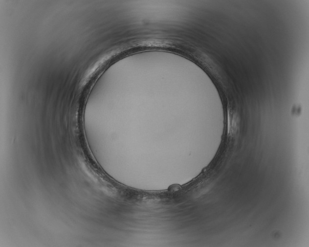 X0000110680531200907021913