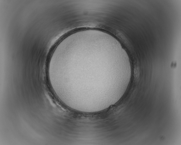 X0000110680532200907021913