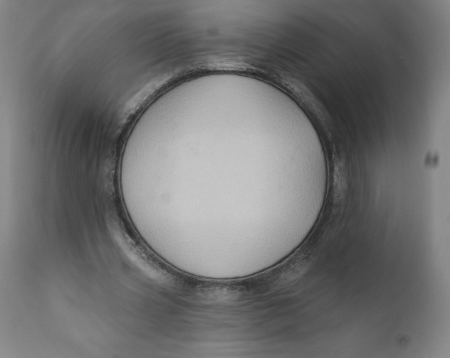 X0000110680533200907021913