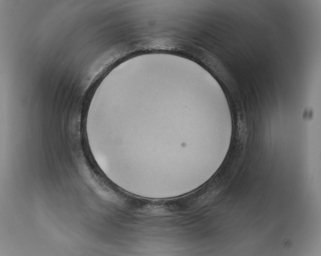 X0000110680534200907021913