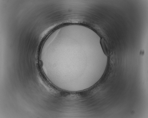 X0000110680536200907021913