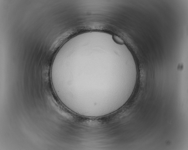 X0000110680537200907021913