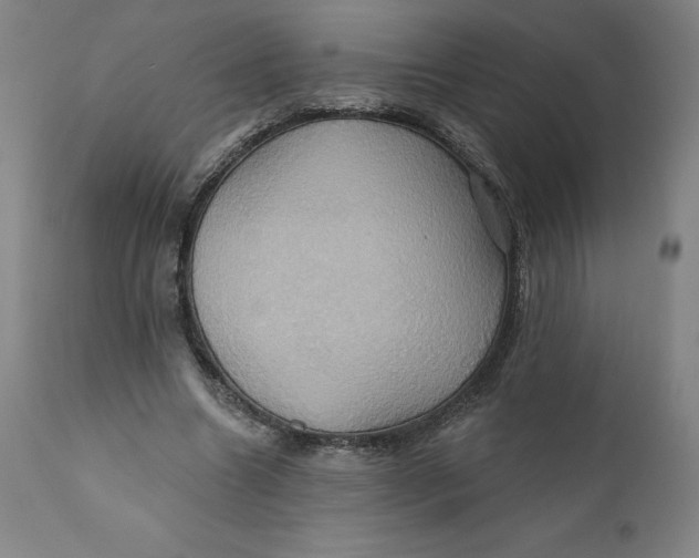 X0000110680538200907021913