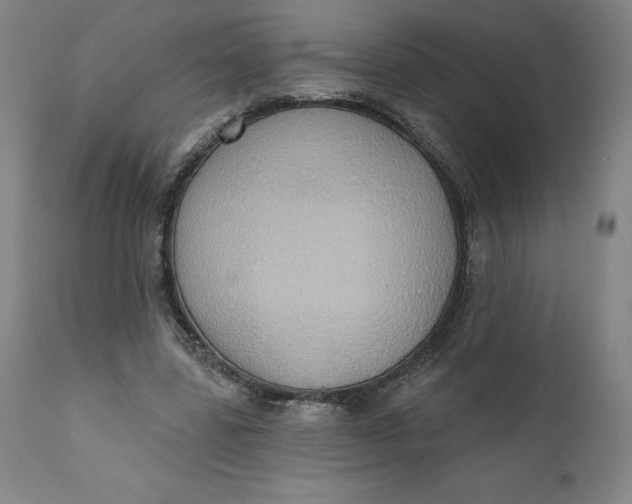 X0000110680539200907021913