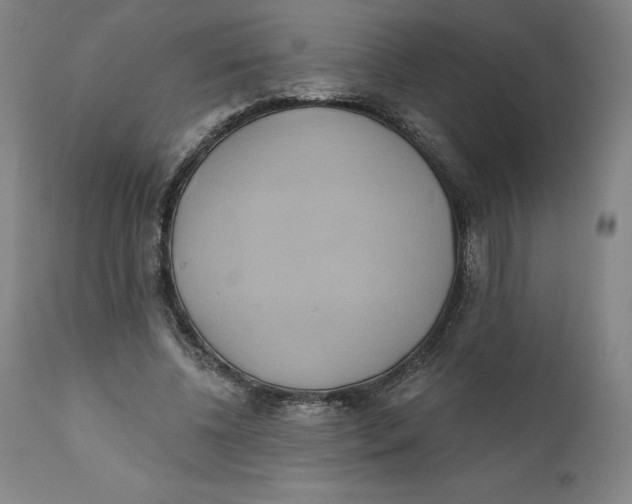 X0000110680540200907021913