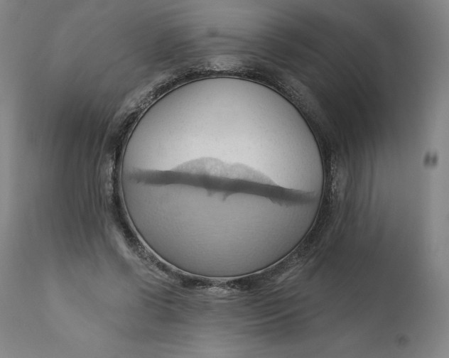 X0000110680542200907021913