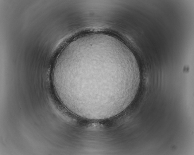 X0000110680543200907021913