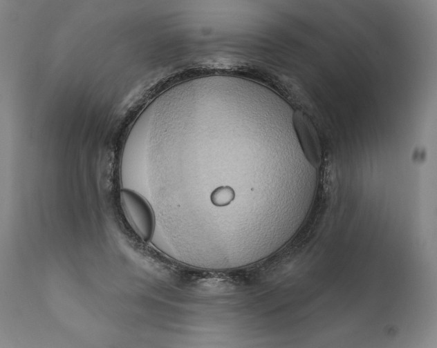 X0000110680544200907021913