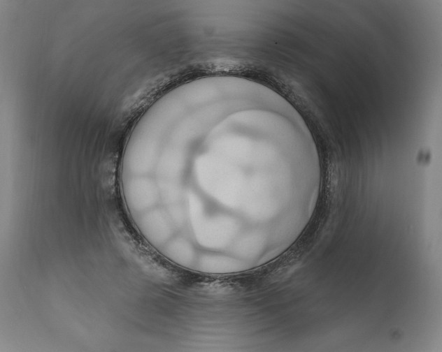 X0000110680545200907021913