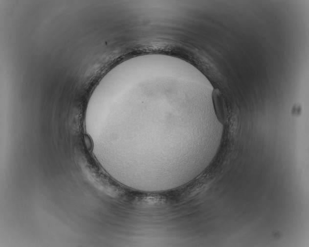 X0000110680546200907021913