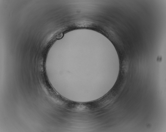 X0000110680547200907021913