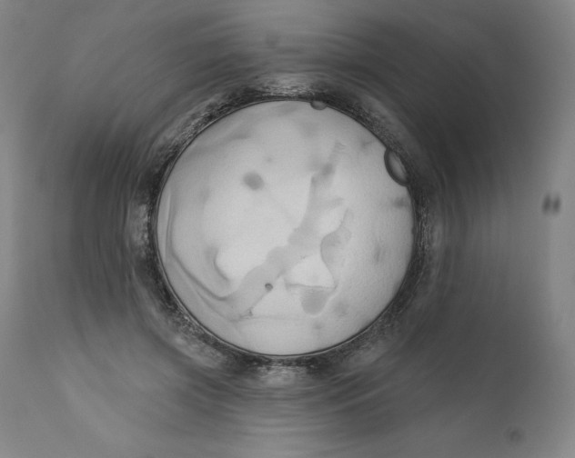 X0000110680549200907021913