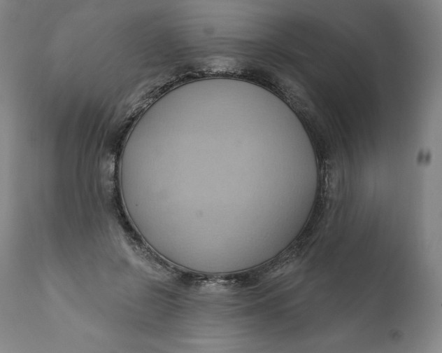 X0000110680550200907021913