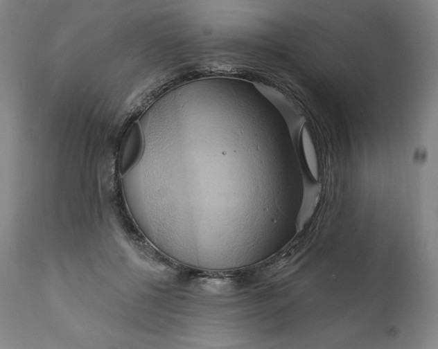 X0000110680552200907021913