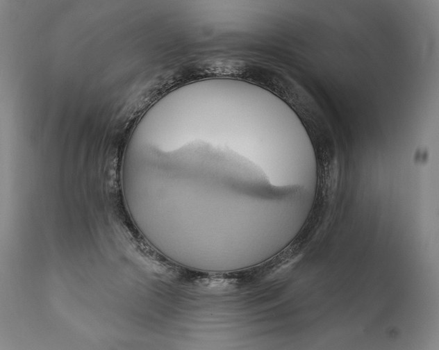 X0000110680553200907021913