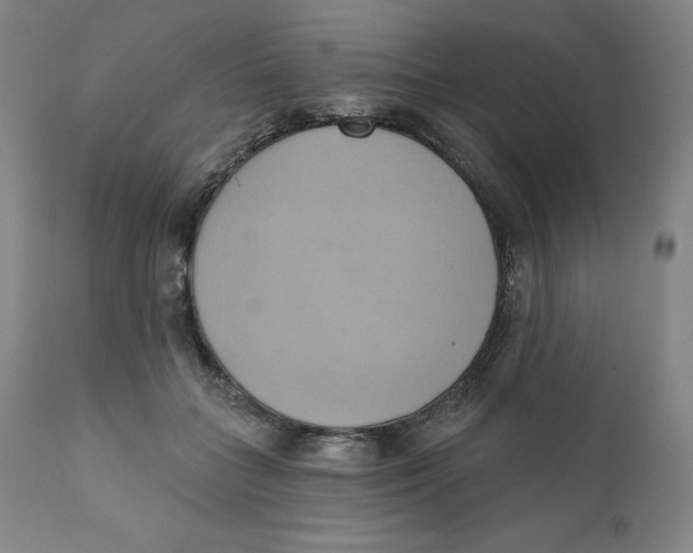 X0000110680555200907021913