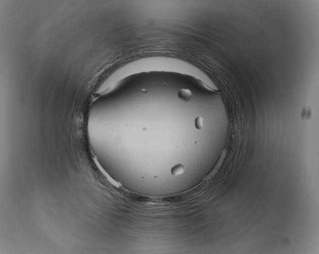 X0000110680556200907021913