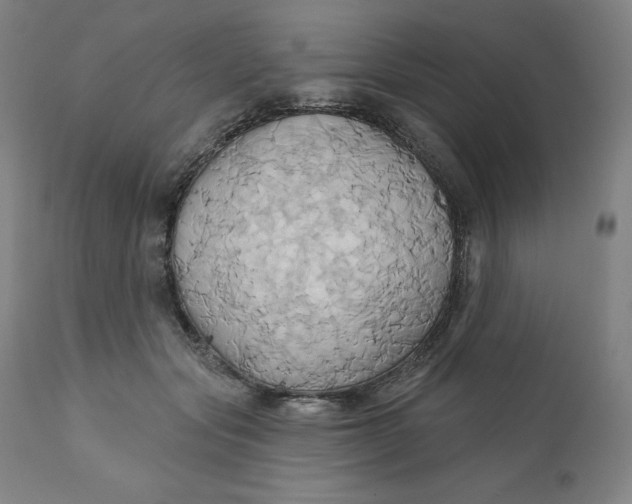 X0000110680557200907021913