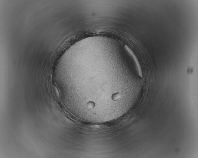 X0000110680558200907021913