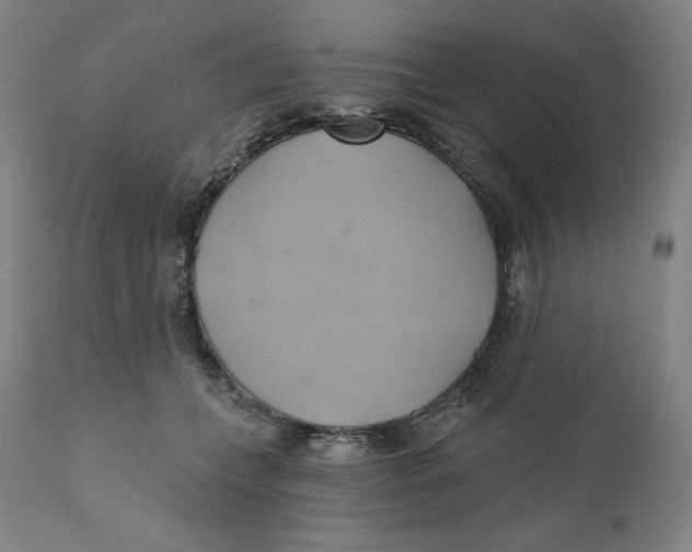 X0000110680559200907021913