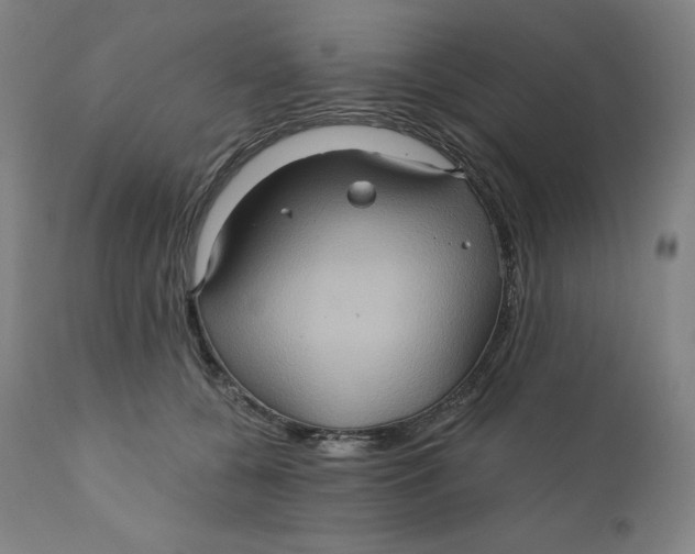 X0000110680560200907021913