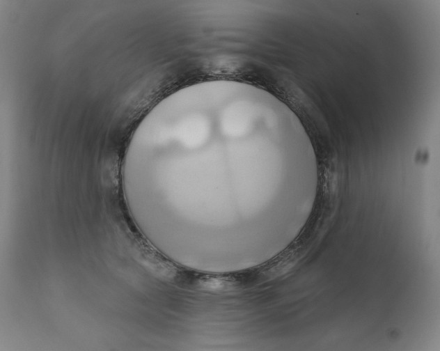 X0000110680561200907021913