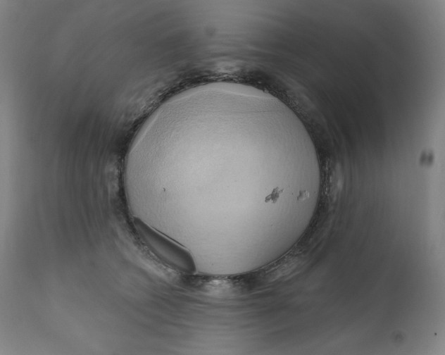 X0000110680562200907021913