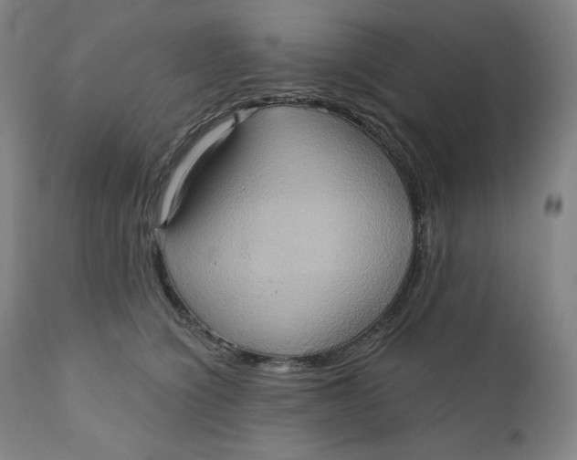 X0000110680564200907021913