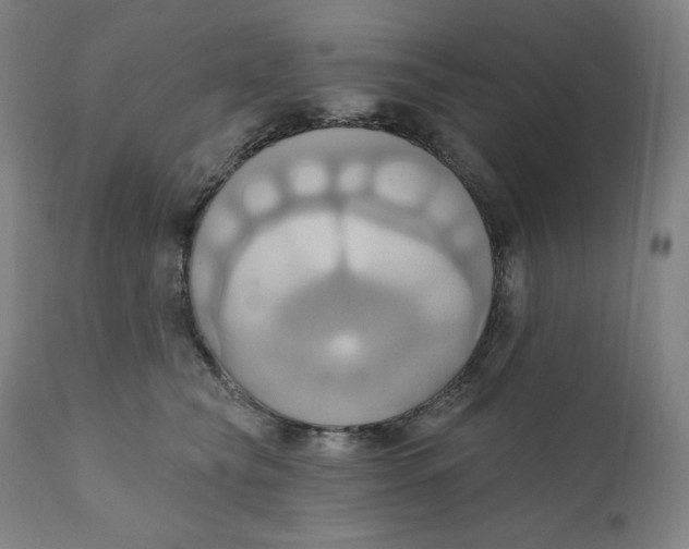 X0000110680565200907021913