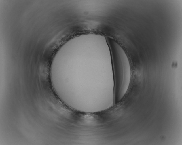 X0000110680566200907021913