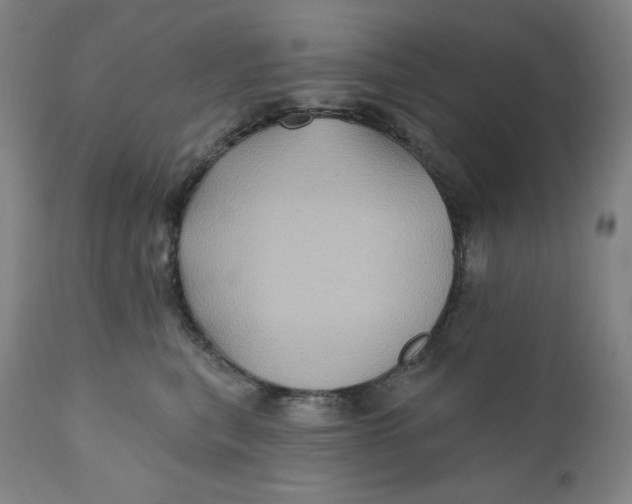X0000110680567200907021913