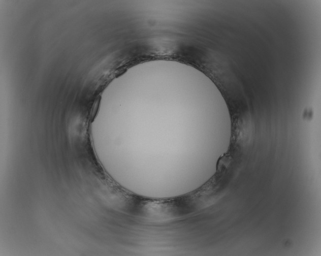X0000110680568200907021913